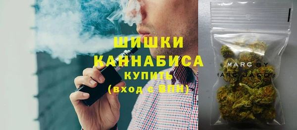 твердый Алзамай