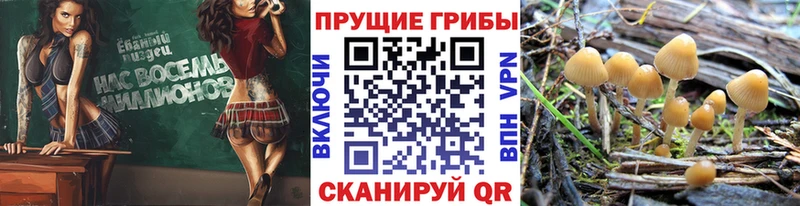 хочу   Канаш  MEGA ONION  Псилоцибиновые грибы MAGIC MUSHROOMS 
