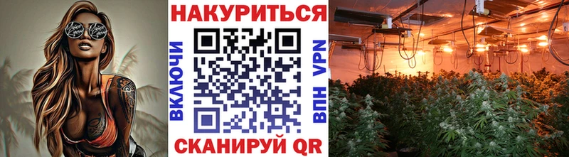 где можно купить   Канаш  Каннабис VHQ 